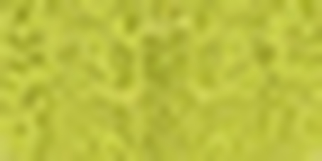 Porte-jarretelles Nisha, Vert