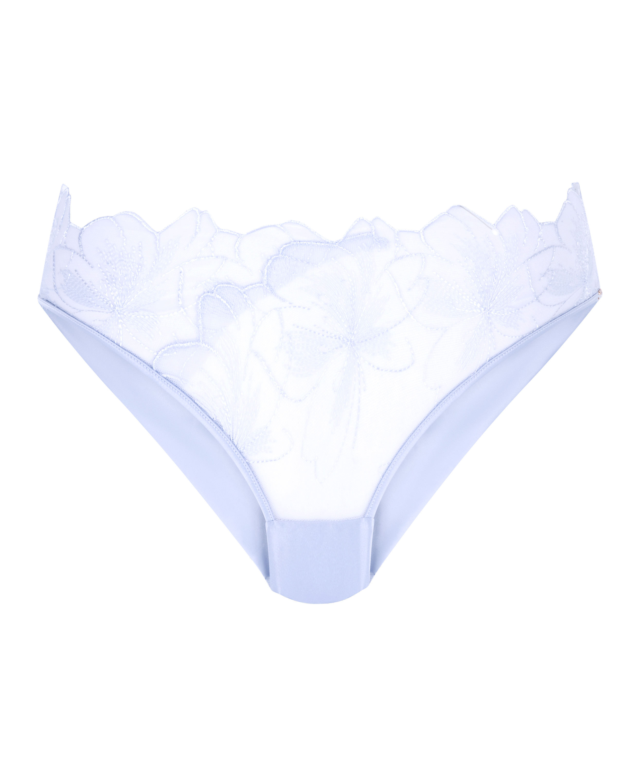 Slip brésilien Emilia, Bleu, main