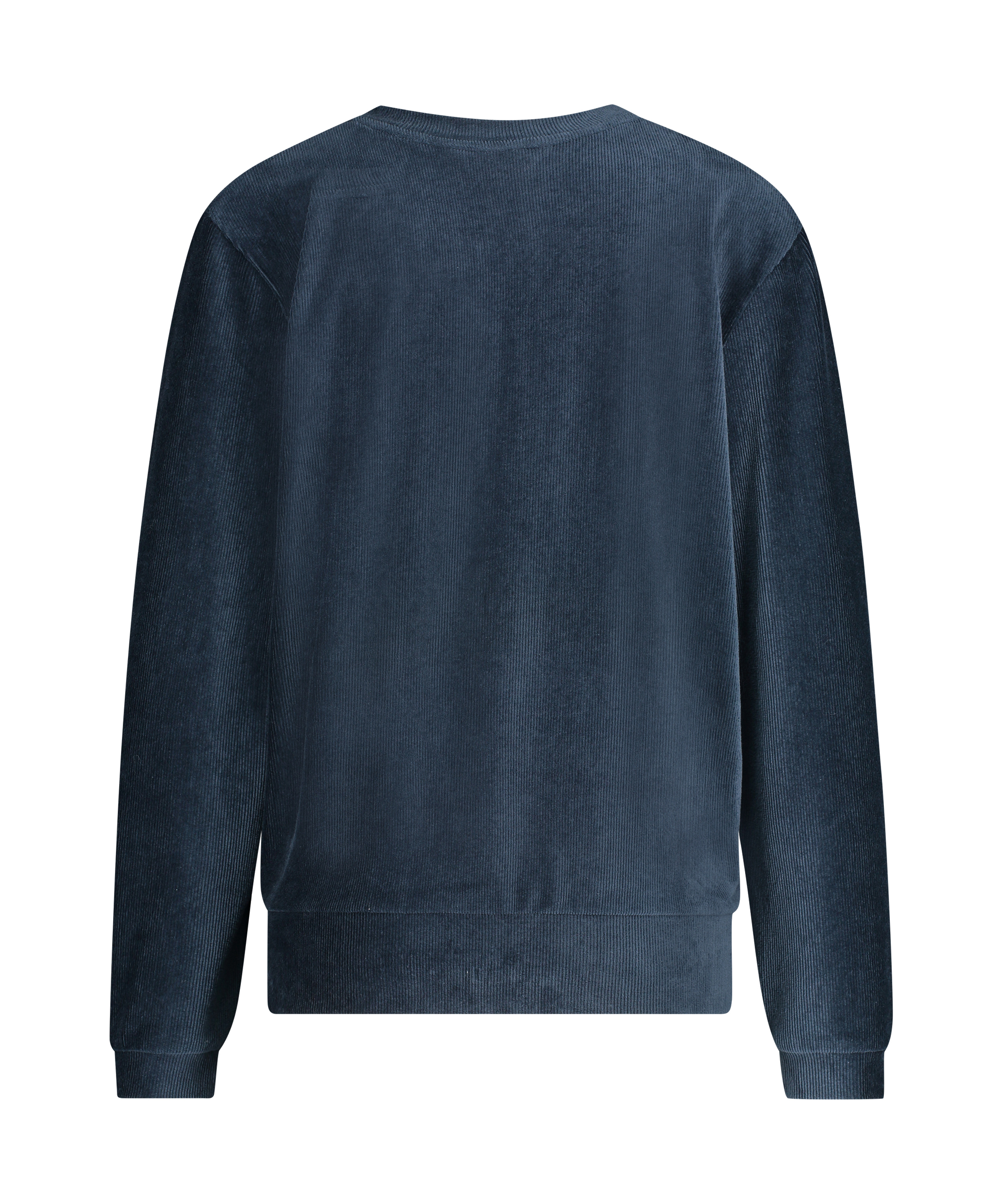 Top velours manches longues, Bleu, main