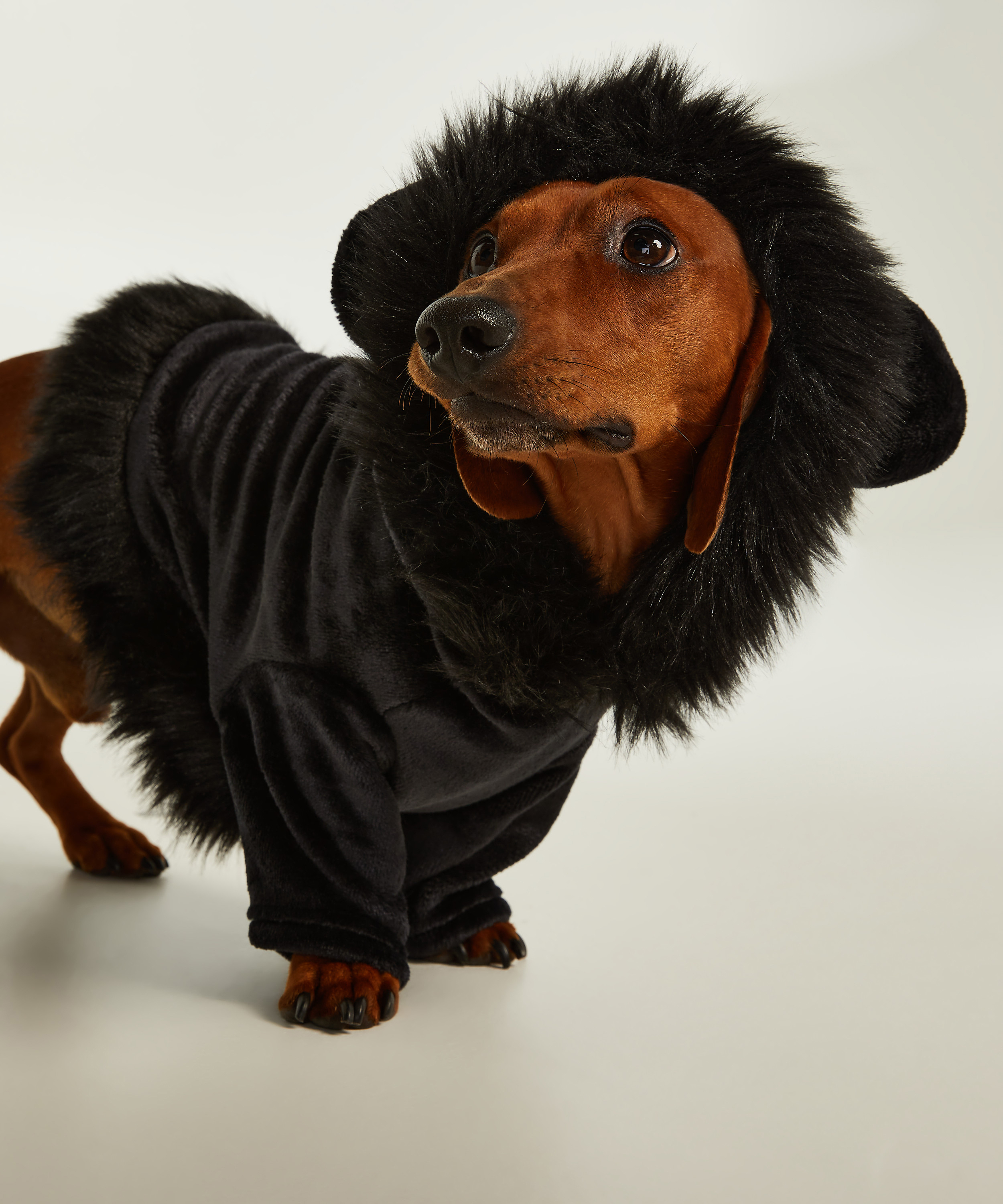 Onesie pour chien en polaire Lucy Hale, Noir, main