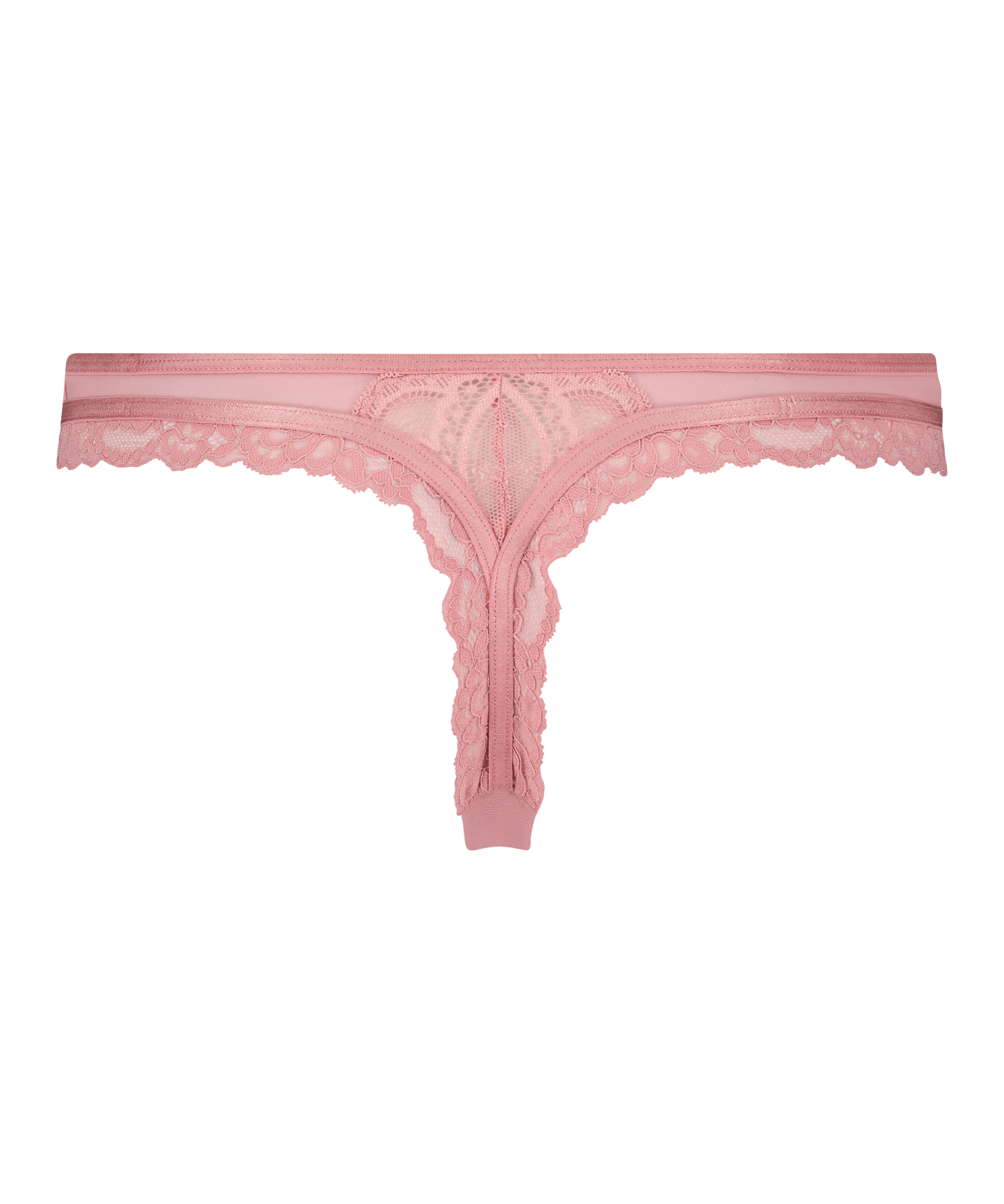 String Cia, Violet, main