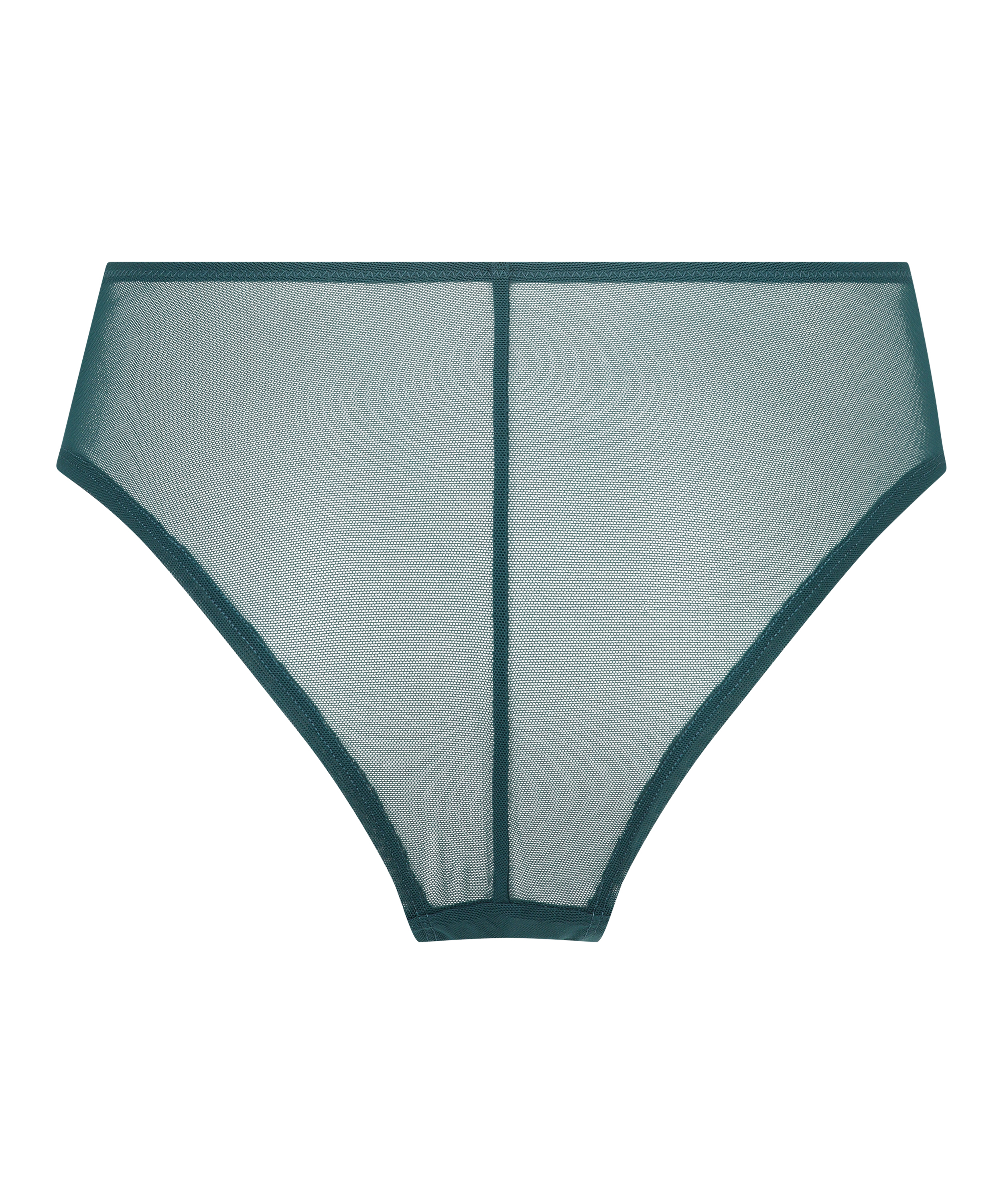 Slip brésilien Daisy, Bleu, main